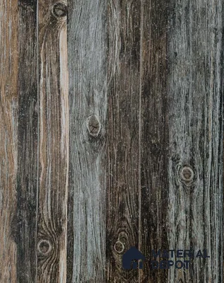 5569 | 10 Meter x 21 Inches Wood Look Wallpaper - 57.41 Sq. Ft.