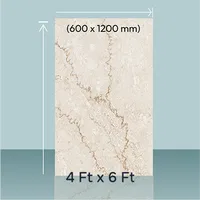 6 ft x 4 ft Bathroom Tiles