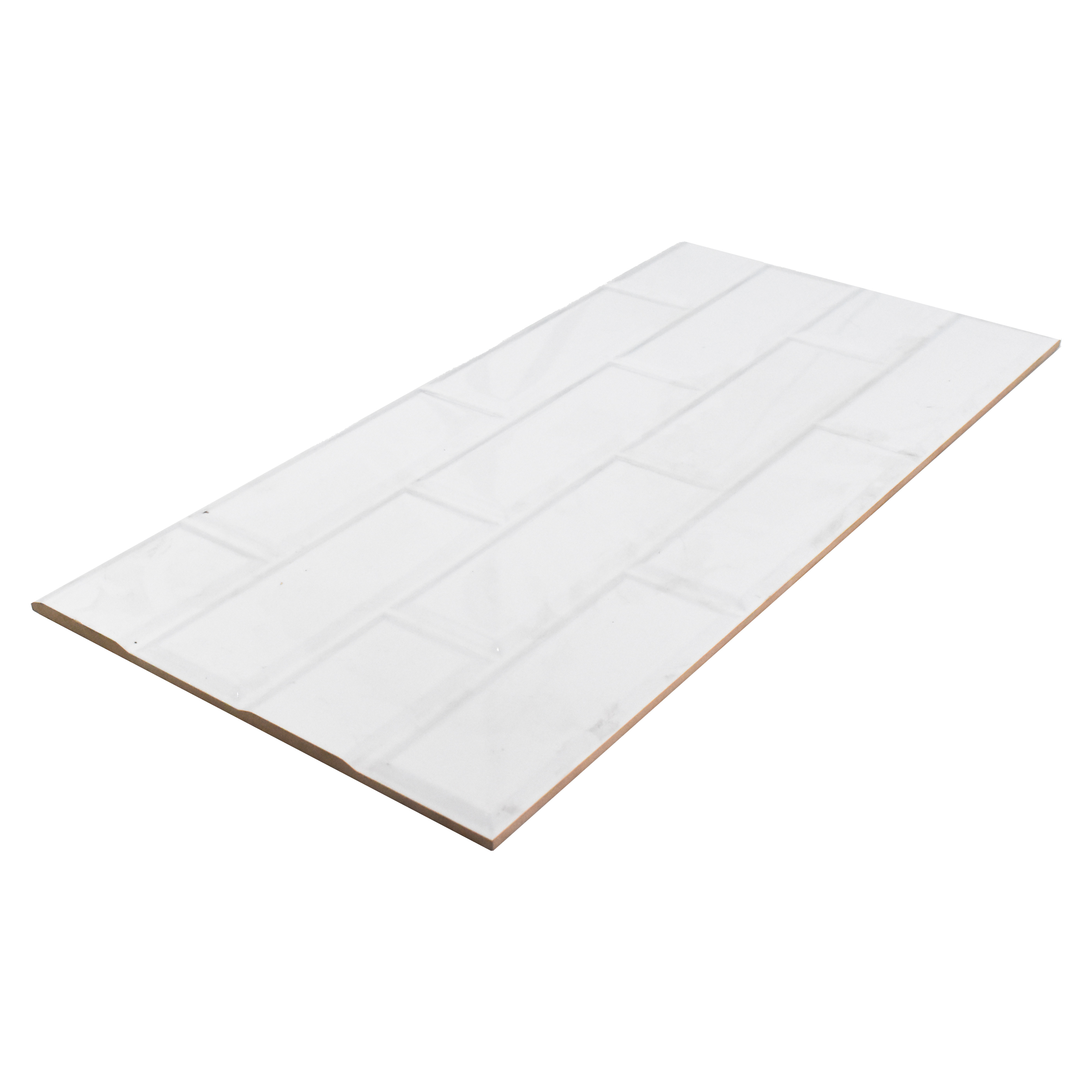 TL 03053 600 x 300 mm Glossy Finish Ceramic Wall Tile - 8 mm (Sample)