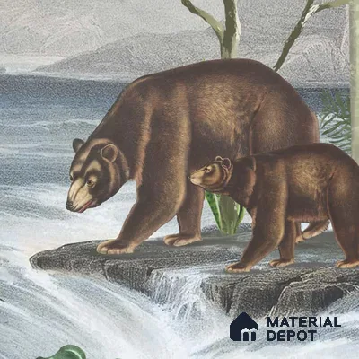 Anandvan Jungle Theme Customised Wallpaper, Green Sukoon Series Handmade Nature Design (Customised Size Wallpaper)