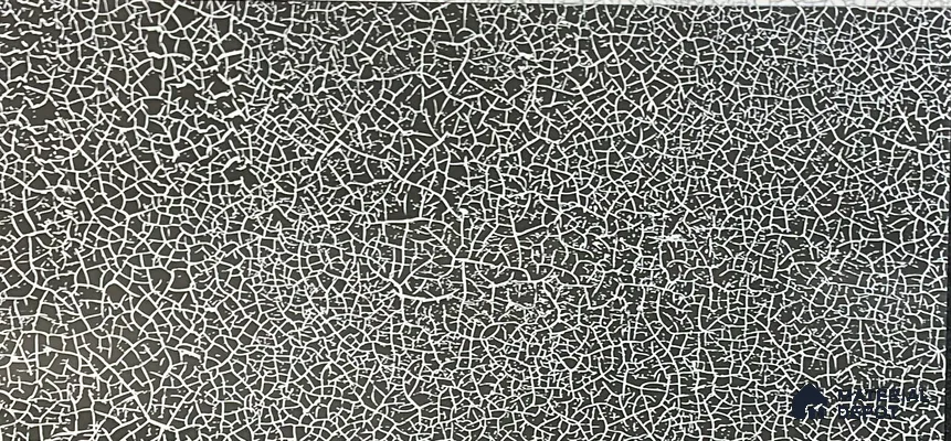 Patterned Digital Wall Tile TL 05406 Botanica Black 2 ft x 1 ft Ceramic Glossy Finish - 9 mm | Suitable For Living Room, Dining & Bathroom Walls