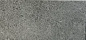 Patterned Digital Wall Tile TL 05406 Botanica Black 2 ft x 1 ft Ceramic Glossy Finish - 9 mm | Suitable For Living Room, Dining & Bathroom Walls | Image 1