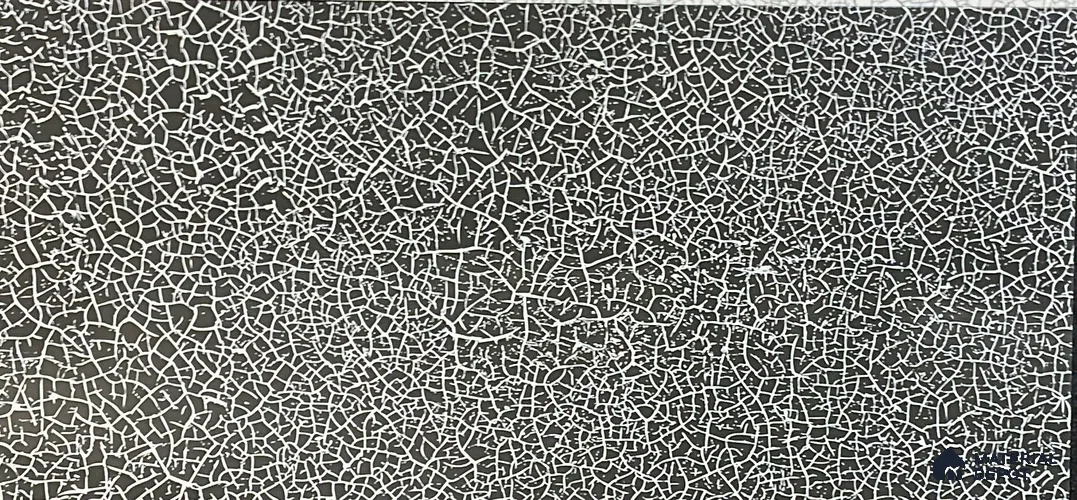 Patterned Digital Wall Tile TL 05406 Botanica Black 2 ft x 1 ft Ceramic Glossy Finish - 9 mm | Suitable For Living Room, Dining & Bathroom Walls