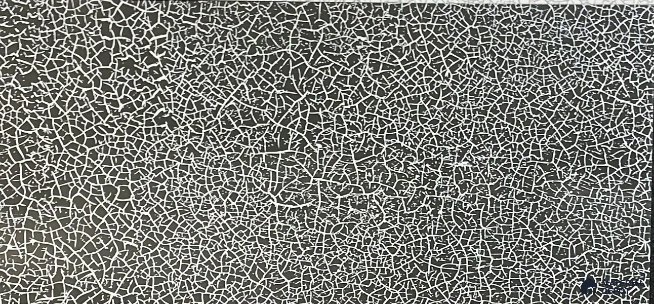 Patterned Digital Wall Tile TL 05406 Botanica Black 2 ft x 1 ft Ceramic Glossy Finish - 9 mm | Suitable For Living Room, Dining & Bathroom Walls