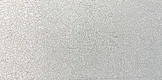 Highlighter Digital Wall Tile TL 05406 C Botanica White 2 ft x 1 ft Ceramic Glossy Finish - 9 mm | Suitable For Living Room, Dining & Bathroom Walls | Image 1