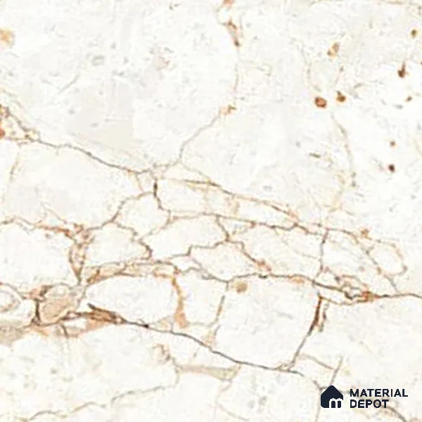 Marble Wall & Floor Tile | TL 02570 Antique Macdonia 4 ft x 2 ft Glossy Finish Random Design Vitrified Tile - 9 mm | Suitable For Living Room, Bedroom, Kitchen (Sample)