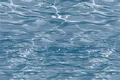 Material Depot tiles in bangalore - high quality image of a of 450x300 mm with a sand finish