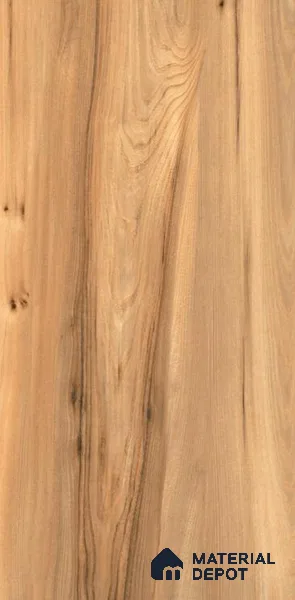 TL 05817 Beige 4 ft x 2 ft Matte Finish Vitrified Wall & Floor Tile - 9.5 mm