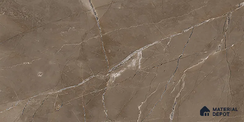 Marble Wall Tile TL 06655 B Etania Coffee 2 ft x 1 ft Ceramic Glossy Finish - 8 mm | Suitable for Living Room, Kitchen & Bathroom (Sample)