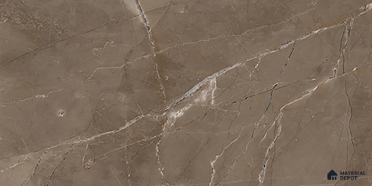 Marble Wall Tile TL 06655 B Etania Coffee 2 ft x 1 ft Ceramic Glossy Finish - 8 mm | Suitable for Living Room, Kitchen & Bathroom (Sample)