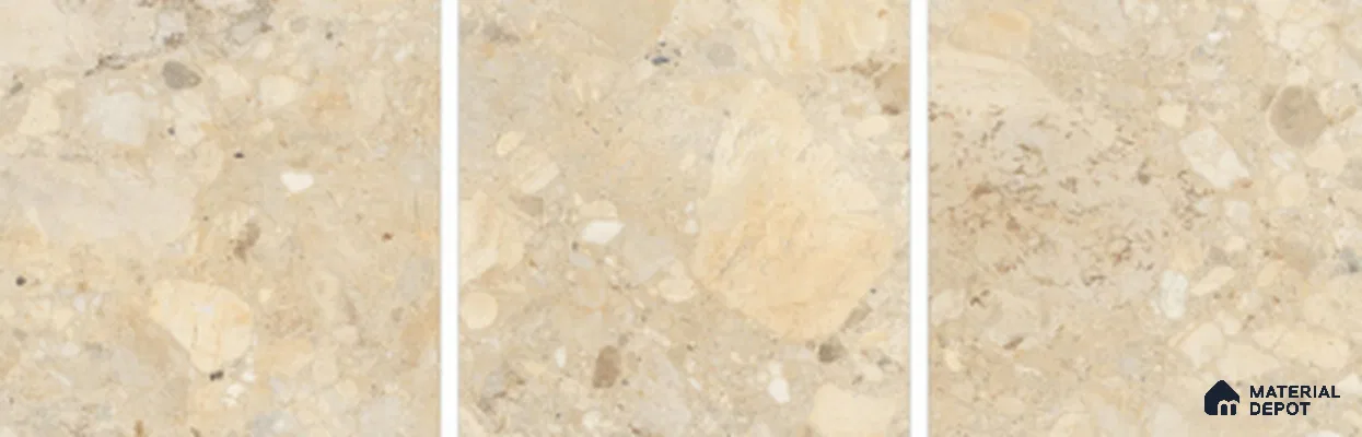TL 02927 Brown 2 ft x 2 ft Glossy Finish Vitrified Floor & Wall Tile - 9.5 mm