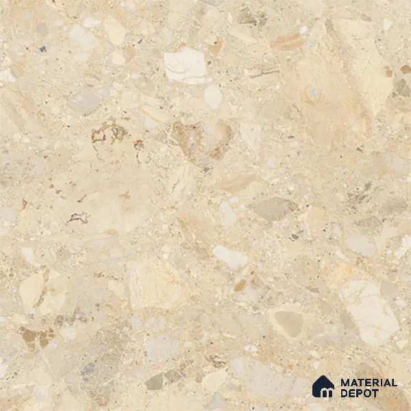 TL 02927 Brown 2 ft x 2 ft Glossy Finish Vitrified Floor & Wall Tile - 9.5 mm