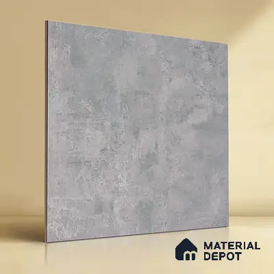 TL 01493 Ash Grey 2 ft x 2 ft Matte Finish Wall and Floor Porcelain Tile - 9 mm