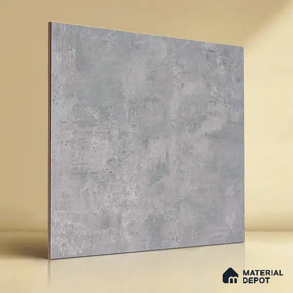 TL 01493 Ash Grey 2 ft x 2 ft Matte Finish Wall and Floor Porcelain Tile - 9 mm