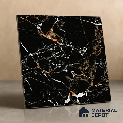 TL 01486 Black 2 ft x 2 ft Matte Finish Wall and Floor Porcelain Tile - 9 mm