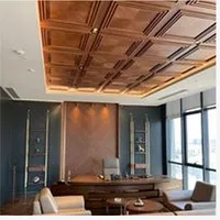 Ceiling Panels