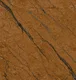 TL 02262 Brown Coyote 2 ft x 2 ft Matte Finish Carving Vitrified Floor & Wall Tile - 9.5 mm| Image 1