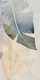 Tropical Wall Tile TL 06640 B Selva Onyx Crema Decore 4 ft x 2 ft Matte Finish Vitrified Tile - 9 mm | 3 Random Face | Suitable for Living Room, Bedroom, Bathroom, Dining | Image 2