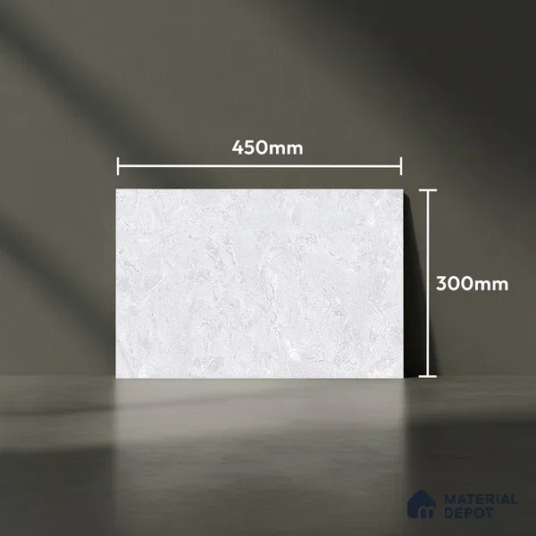TL 05786 Desert Light 450x300 mm Glossy Finish Ceramic Wall Tile - 7 mm