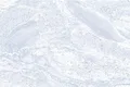4243  L with aGlossy finish available for sale at Material Depot in Bangalore