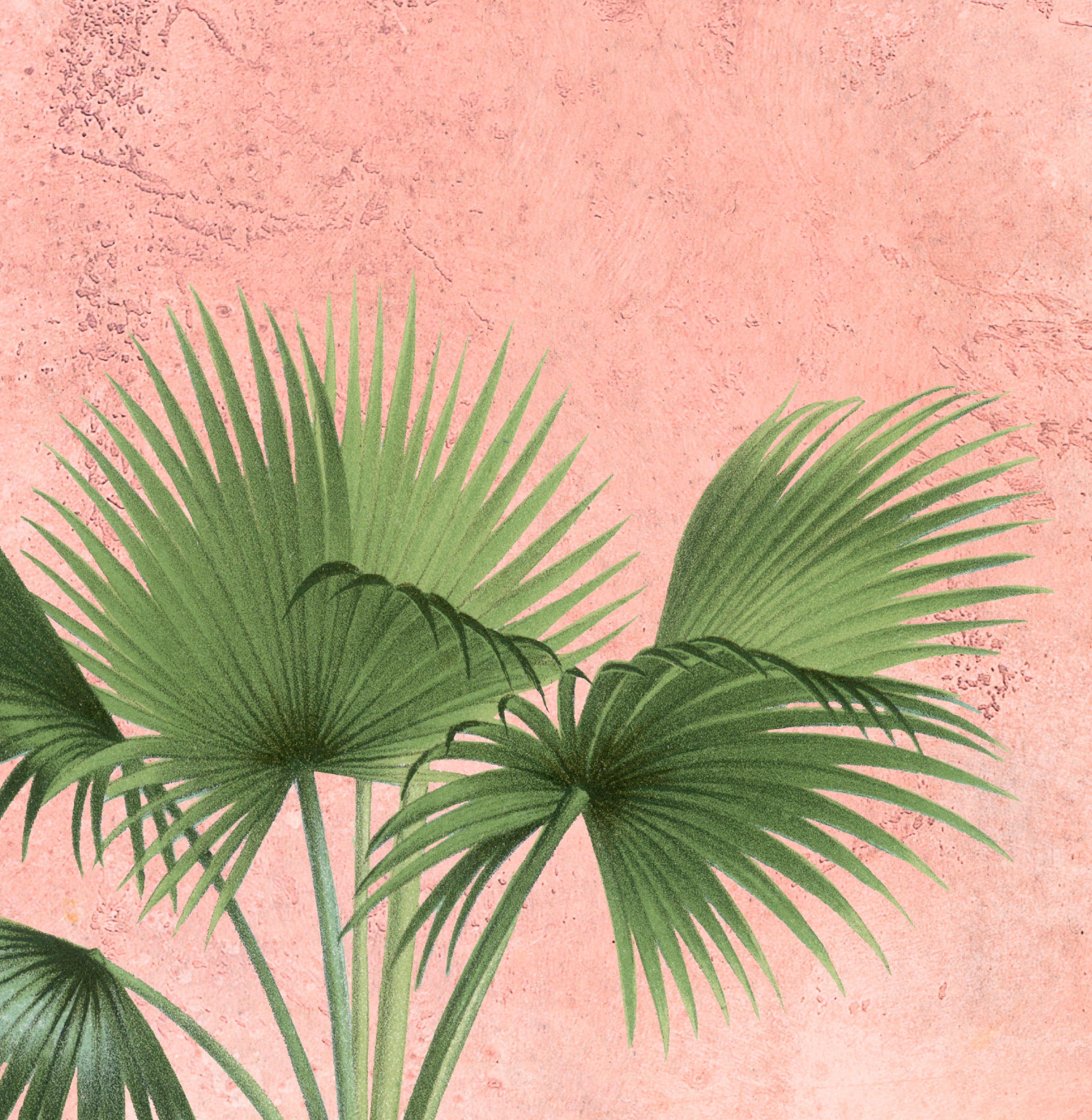 Fascinating Enchantment, Luxury Wallpaper for Rooms, Customised Sukoon Series Canvas Patterned Design (Customised Size Wallpaper)
