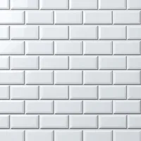 Faux Subway 2x1 ft Tiles