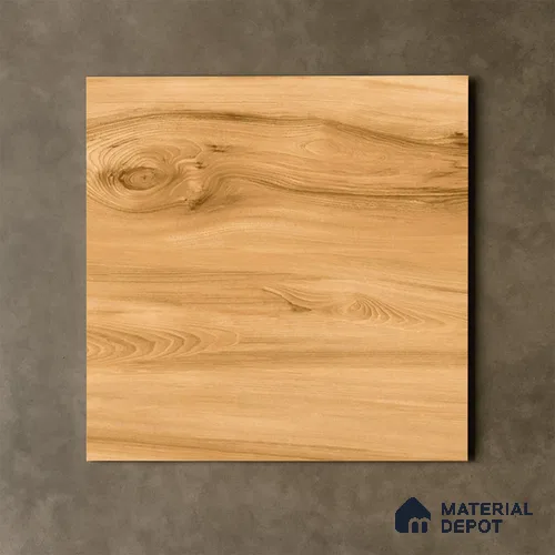 TL 00449 Fawn Brown 2 ft x 2 ft Matte Finish Digital Porcelain Floor & Wall Tile - 9.5 mm