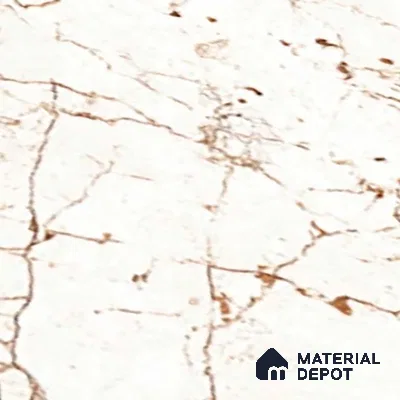 Marble Look Floor Tile TL 08844 D | Matte Finish 12 x 12 inch Ceramic Tile - 7 mm | Suitable For Kitchen, Bathroom, Bedroom & Office