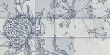 Multi Colour