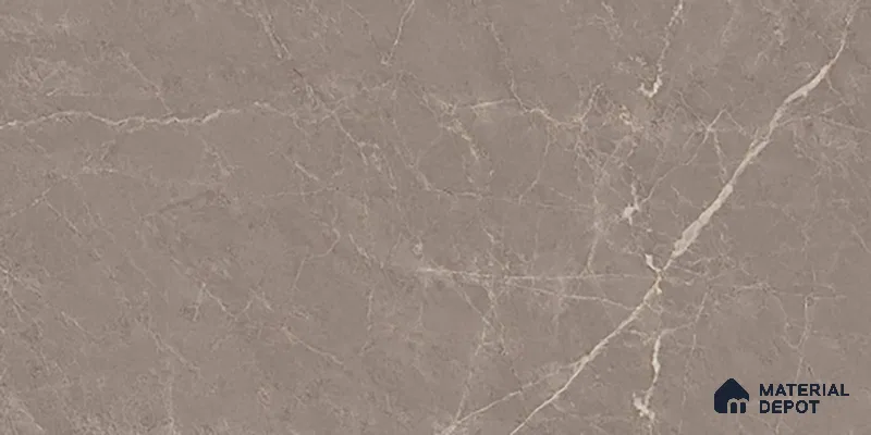 Marble Look 22250 D TL 09796 D 2 ft x 1 ft Glossy Finish Ceramic Wall Tile - 9 mm