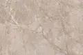 Taupe Beige