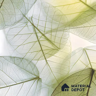 Tropical Look Wall Tile TL 06517 CR Multi Decor 01 4 ft x 2 ft Vitrified Matte Finish Tile - 9 mm | Suitable for Living Room, Bedroom, Bathroom, Dining (Sample)