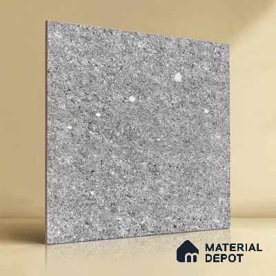 TL 06321 Grey 2 ft x 2 ft High Gloss Finish Vitrified Wall & Floor Tile - 9 mm (Sample)