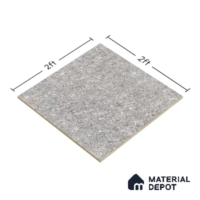 TL 06321 Grey 2 ft x 2 ft High Gloss Finish Vitrified Wall & Floor Tile - 9 mm (Sample)