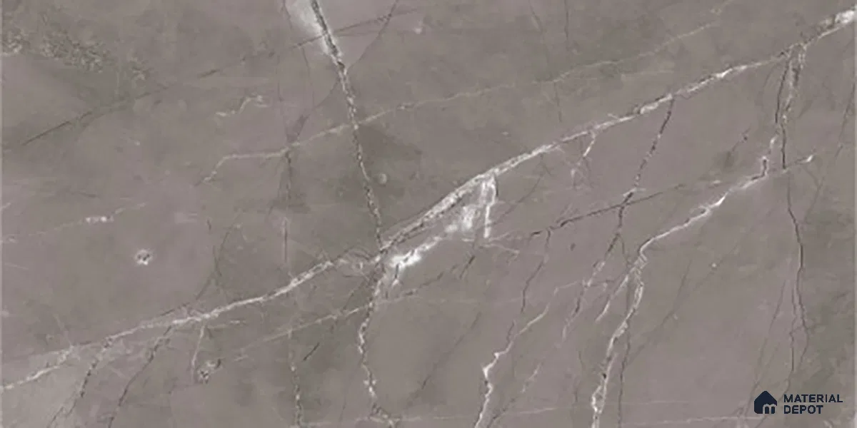 Marble Wall Tile TL 06557 B Etania Nero 2 ft x 1 ft Ceramic Glossy Finish - 8 mm | Suitable for Living Room, Kitchen & Bathroom