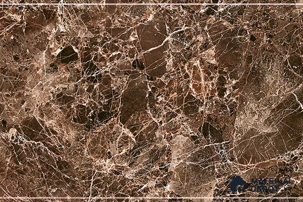 TL 01904 A Hazelnut Brown Dark 18 x 12 inch Glossy Finish Ceramic Wall Tile - 6 mm