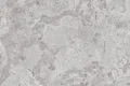TL 02421 E Dark Silver 12 x 12 inch Matte Finish Ceramic Floor Tile - 7 mm | Image 01