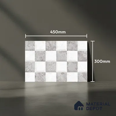 TL 02421 D Highlighter 2 Ash Grey & White 18 x 12 inch Glossy Finish Ceramic Wall Tile - 7 mm