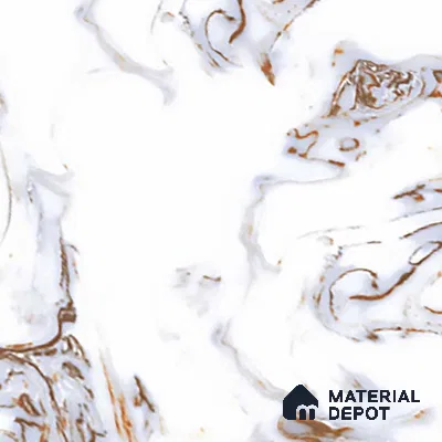 TL 02928 Ice White 2 ft x 2 ft Glossy Finish Vitrified Floor & Wall Tile - 9.5 mm