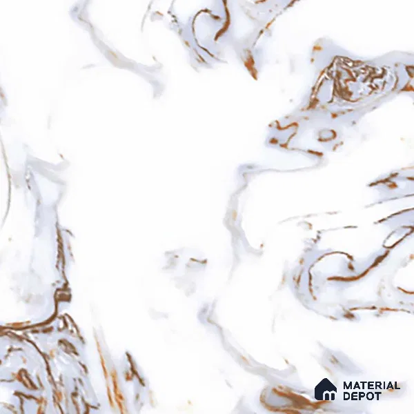 TL 02928 Ice White 2 ft x 2 ft Glossy Finish Vitrified Floor & Wall Tile - 9.5 mm