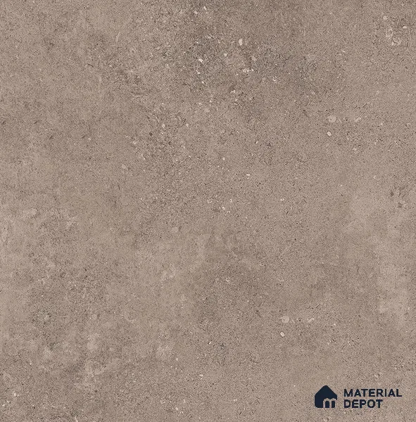 TL 00865 2 ft x 2 ft Punch Matt Finish Vitrified Tile - 9 mm