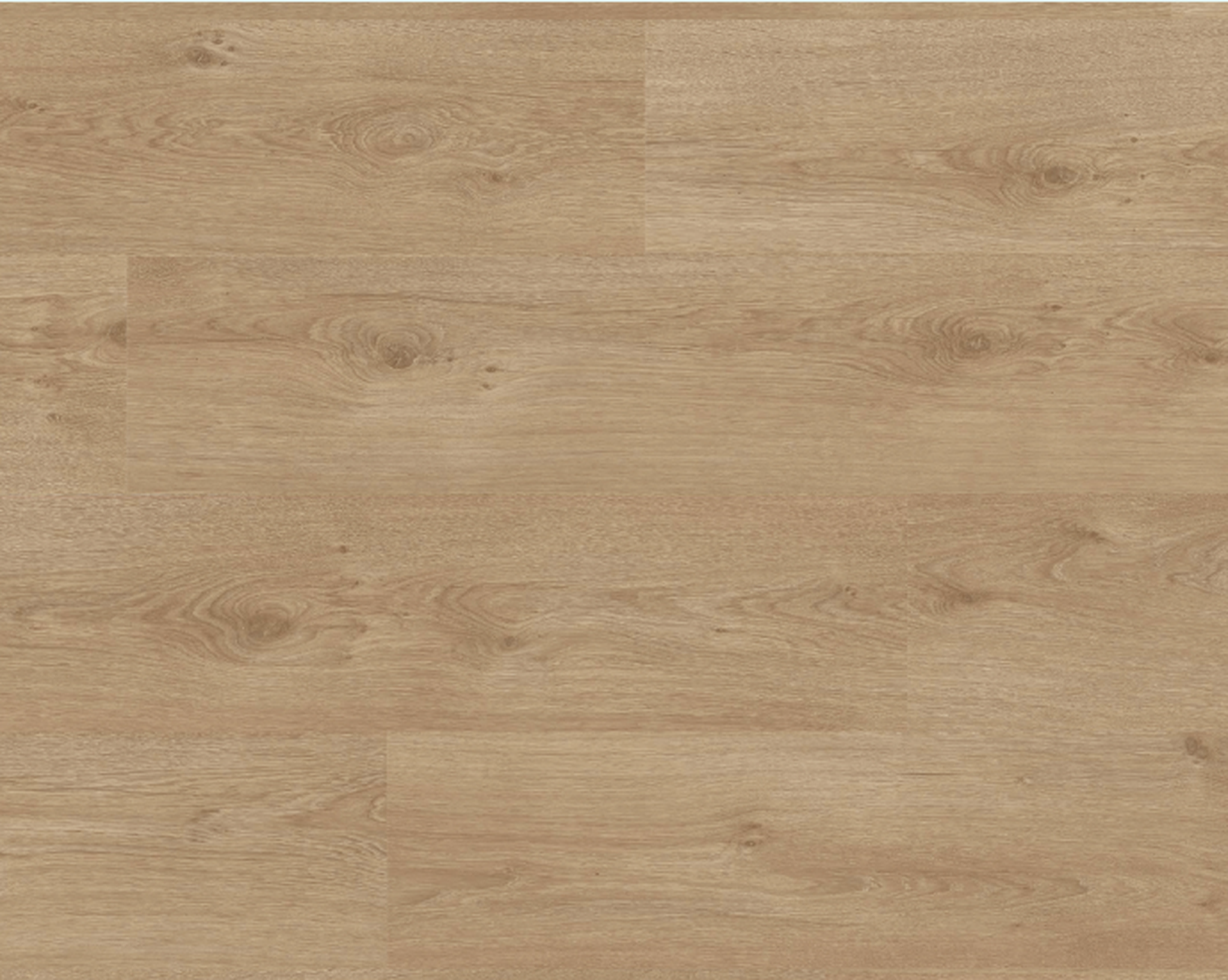Natural Varnished Oak Laminate Wood Floor 4.13 ft x 7.55 inch - 8 mm | LF 00352 C | Unilin Patented Locking | AC4 Grade 25-Year Residential Warranty | Suitable For Living Room, Bedroom & Office