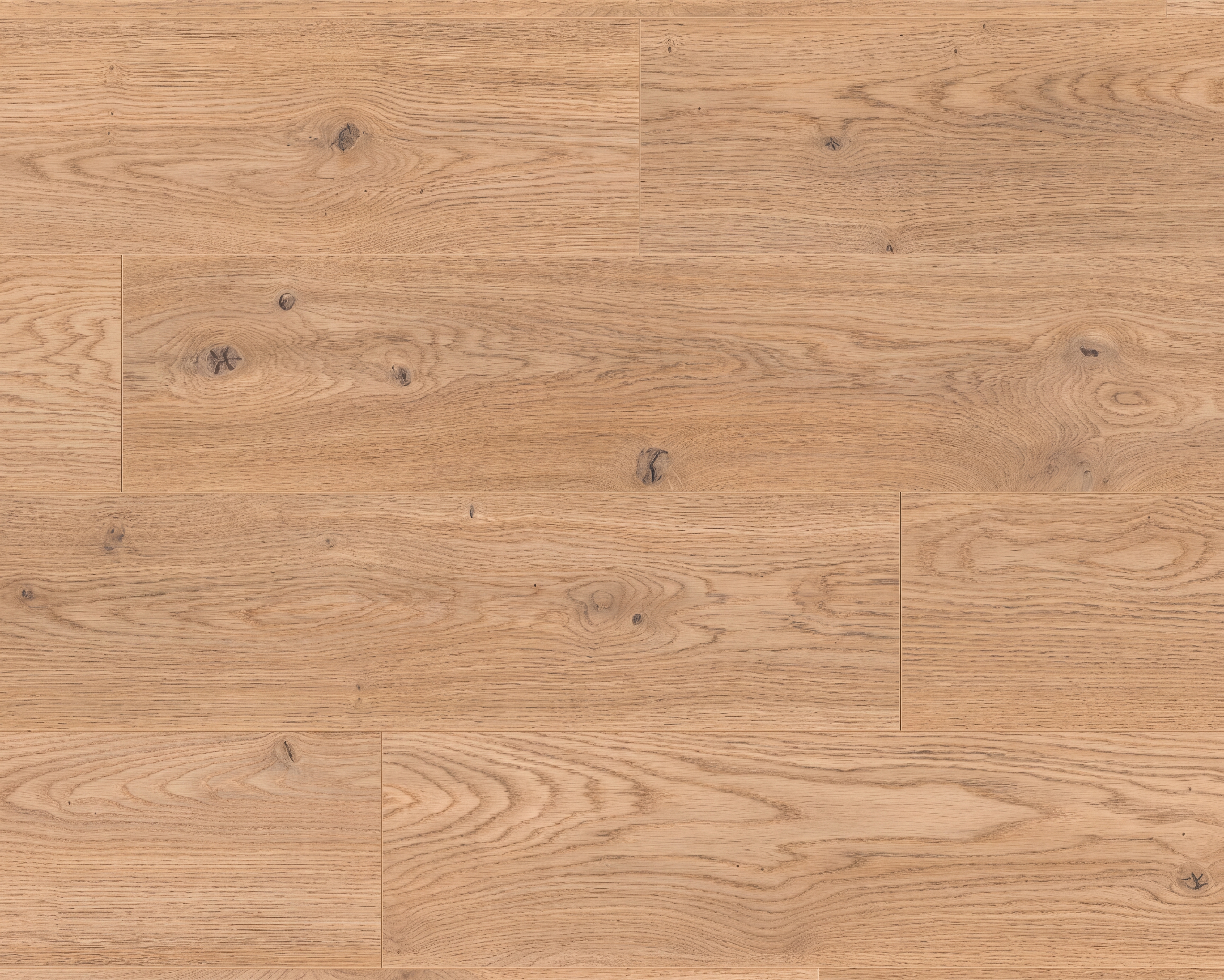 Spring Oak Laminate Wood Floor 4.13 ft x 7.55 inch - 8 mm | LF 00352 | Unilin Patented Locking | AC4 Grade 25-Year Residential Warranty | Suitable For Living Room, Bedroom & Office