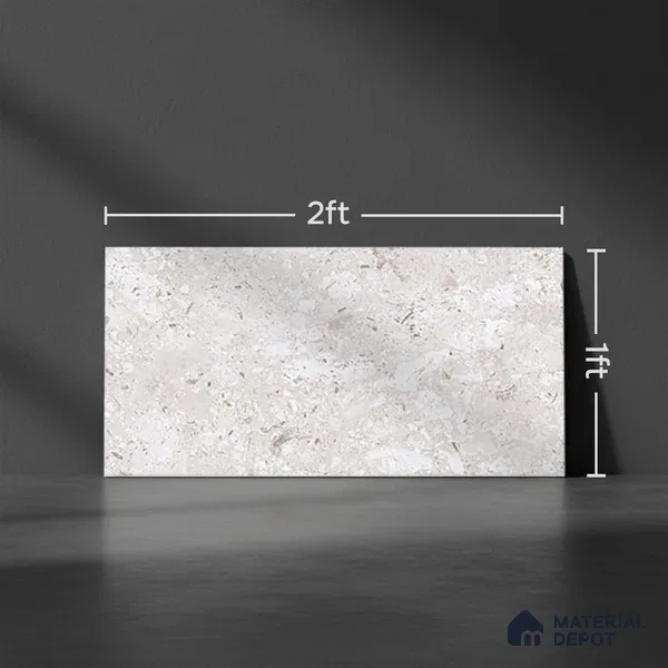 TL 02461 C Silver Dark 2 ft x 1 ft Glossy Finish Ceramic Wall Tile - 6 mm (Sample)