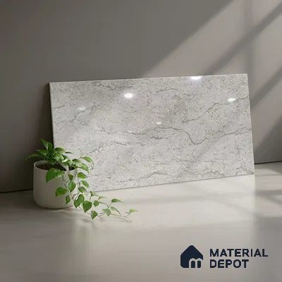 TL 02458 C Alloy Silver Dark 2 ft x 1 ft Glossy Finish Ceramic Wall Tile - 6 mm (Sample)