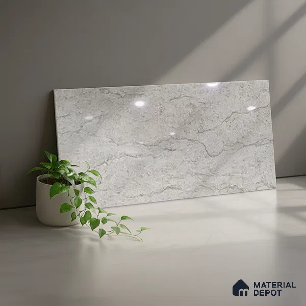 TL 02458 C Alloy Silver Dark 2 ft x 1 ft Glossy Finish Ceramic Wall Tile - 6 mm (Sample)