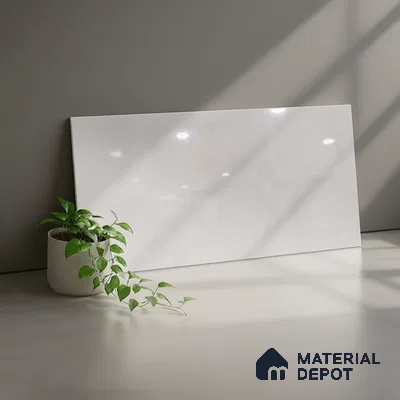 TL 02459 A Silver Light 2 ft x 1 ft Glossy Finish Ceramic Wall Tile - 6 mm (Sample)