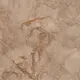 Almond Beige