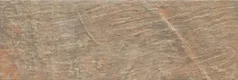 Terra