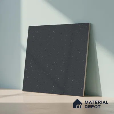 TL 01116 Coal Matte Finish 600 x 600 mm Plain Full Body Vitrified Wall & Floor Tile - 9 mm (Sample)